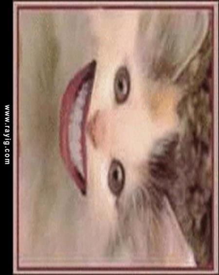ktita